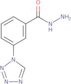 3-(1H-Tetrazol-1-yl)benzohydrazide