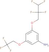 3-(2,2,3,3-Tetrafluoropropoxy)-5-(2,2,2-trifluoroethoxy)aniline