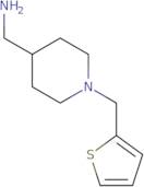 [1-(Thien-2-ylmethyl)piperidin-4-yl]methylamine