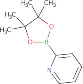 2-(4,4,5,5-Tetramethyl-1,3,2-dioxaborolan-2-yl)pyridine