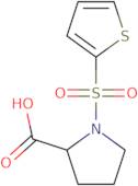 1-(Thien-2-ylsulfonyl)pyrrolidine-2-carboxylic acid