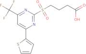 4-{[4-(2-Thienyl)-6-(trifluoromethyl)pyrimidin-2-yl]sulfonyl}butanoic acid