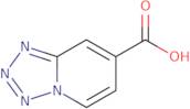 Tetrazolo[1,5-a]pyridine-7-carboxylic acid