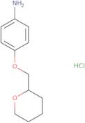 [4-(Tetrahydro-2H-pyran-2-ylmethoxy)phenyl]amine hydrochloride