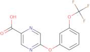 5-[3-(Trifluoromethoxy)phenoxy]pyrazine-2-carboxylic acid