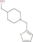 [1-(2-Thienylmethyl)piperidin-4-yl]methanol hydrochloride