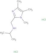 N-[(1,4,5-Trimethyl-1H-imidazol-2-yl)methyl]propan-2-amine dihydrochloride