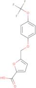 5-{[4-(Trifluoromethoxy)phenoxy]methyl}-2-furoic acid