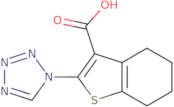 2-(1H-Tetrazol-1-yl)-4,5,6,7-tetrahydro-1-benzothiophene-3-carboxylic acid