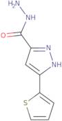 5-(2-Thienyl)-1H-pyrazole-3-carbohydrazide