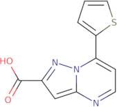 7-(2-Thienyl)pyrazolo[1,5-a]pyrimidine-2-carboxylic acid