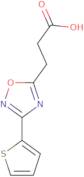 3-[3-(2-Thienyl)-1,2,4-oxadiazol-5-yl]propanoic acid