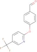 4-{[5-(Trifluoromethyl)pyridin-2-yl]oxy}benzaldehyde