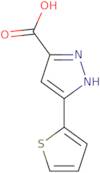 3-(2-Thienyl)-1H-pyrazole-5-carboxylic acid