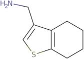 (4,5,6,7-Tetrahydro-1-benzothien-3-ylmethyl)amine hydrochloride