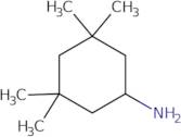 (3,3,5,5-Tetramethylcyclohexyl)amine hydrochloride