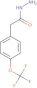 2-[4-(Trifluoromethoxy)phenyl]acetohydrazide