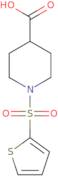 1-(2-Thienylsulfonyl)piperidine-4-carboxylic acid
