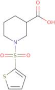 1-(2-Thienylsulfonyl)piperidine-3-carboxylic acid