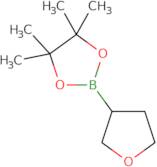 4,4,5,5-Tetramethyl-2-(tetrahydrofuran-3-yl)-1,3,2-dioxaborolane