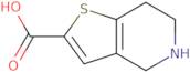 4,5,6,7-Tetrahydrothieno[3,2-c]pyridine-2-carboxylic acid
