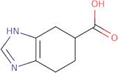 4,5,6,7-Tetrahydro-1H-benzo[d]imidazole-5-carboxylic acid