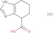 4,5,6,7-Tetrahydro-1H-benzo[d]imidazole-7-carboxylic acid hydrochloride