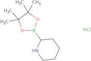 2-(4,4,5,5-Tetramethyl-1,3,2-dioxaborolan-2-yl)piperidine hydrochloride