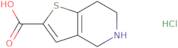 4,5,6,7-Tetrahydrothieno[3,2-c]pyridine-2-carboxylic acid hydrochloride