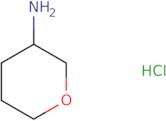 Tetrahydro-2H-pyran-3-amine hydrochloride