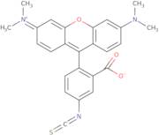 Tetramethylrhodamine-5-isothiocyanate