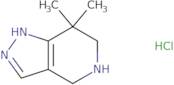 4,5,6,7-Tetrahydro-7,7-dimethyl-1H-pyrazolo[4,3-c]pyridineHydrochloride