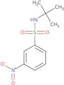 Tbt-butyl3-nitrobenzenesulfonamide