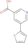 5-(Thiophen-2-yl)nicotinic acid