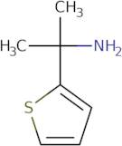 2-(Thiophen-2-yl)propan-2-amine