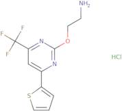 (2-([-4-Thienyl)-6-(trifluoromethyl)pyrimidin-2-ylethyl)amine hydrochloride