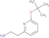 2-[6-(Tert-butoxy)pyridin-2-yl]ethan-1-amine