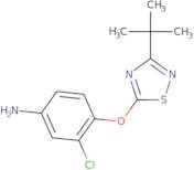 4-[(3-Tert-butyl-1,2,4-thiadiazol-5-yl)oxy]-3-chloroaniline