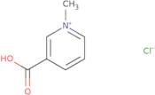 Trigonellin monohydrate