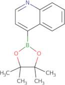 4-(4,4,5,5-Tetramethyl-[1,3,2]dioxaborolan-2-yl)quinoline