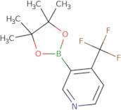 4-(Trifluoromethyl)pyridine-3-boronic acid pinacol ester