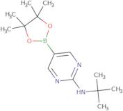 2-t-Butylaminopyrimidine-5-boronic acid, pinacol ester