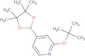 2-t-Butoxypyridine-4-boronic acid pinacol ester