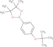 4-tert-Butoxyphenylboronic acid pinacol ester