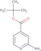 Tert-butyl 2-aminopyridine-4-carboxylate