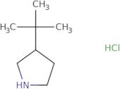 3-(Tert-butyl)pyrrolidine HCI
