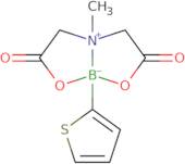 2-Thiopheneboronic acid MIDA este