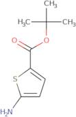 Tert-butyl 5-aminothiophene-2-carboxylate