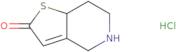5,6,7,7a-Tetrahydrothieno[3,2-c]pyridinone hydrochloride
