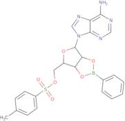 5'-Tosyladenosine-2',3'-O-phenylboronate